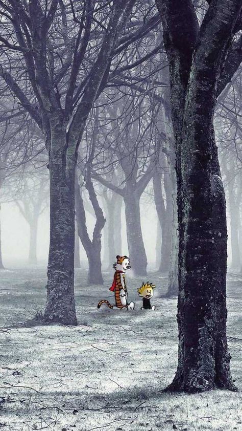 Imgur: The magic of the Internet Calvin And Hobbes Wallpaper, Calvin Und Hobbes, Calvin And Hobbes Quotes, Calvin And Hobbes Comics, Lock Screen Wallpaper Iphone, Favorite Wallpaper, Smartphone Wallpaper, Wallpapers Iphone, Calvin And Hobbes