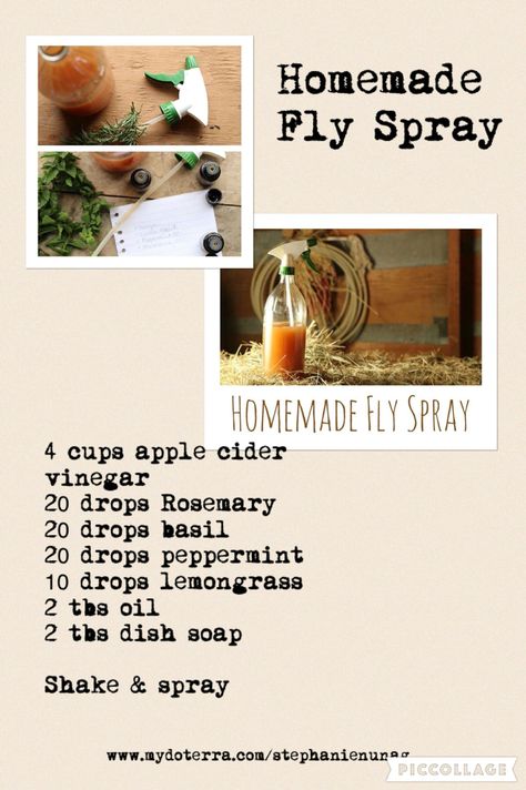 DIY homemade fly spray for horses.  #doterraessentialoil  www.mydoterra.com/stephanienunag Horse Fly Spray, Homemade Fly Spray, Fly Spray For Horses, Fly Spray, Horse Care Tips, Homesteading Diy, Horse Info, Horse Ideas, Wine Bottle Diy Crafts