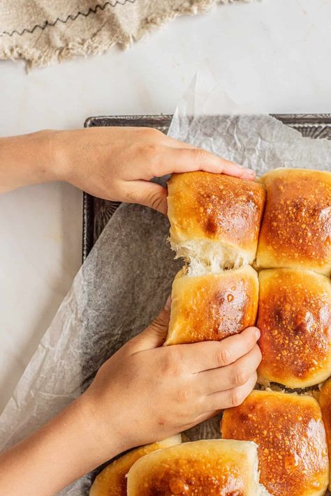 Soft Sourdough Dinner Rolls Recipe - Home Grown Happiness Milk And Pop Sourdough Rolls, Fluffy Sourdough Dinner Rolls, Sourdough Discard Buns Dinner Rolls, Sourdough Rolls Thanksgiving, Small Batch Sourdough Rolls, Super Soft Dinner Rolls, Best Sourdough Dinner Rolls, Homemade Sourdough Rolls, Sourdough Soft Rolls