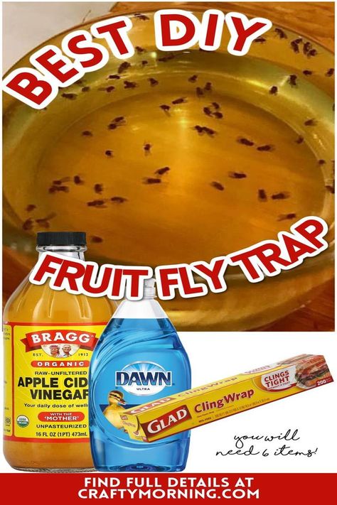 DIY repellant. Natural fly repellant. How to get rid of flues. Tips to get rid of flies. If you don't want to use chemicals to kill flies, then try some of these natural fly traps and fly repellents instead. Diy Fly Traps Indoor, Diy Get Rid Of Fruit Flies, Bug Traps Homemade, Fly Catcher Diy Outdoor, Rid Of Fruit Flies, How To Catch And Kill Nats, Nat Traps Diy, Remove Fruit Flies, Fly Trap Homemade Outdoor