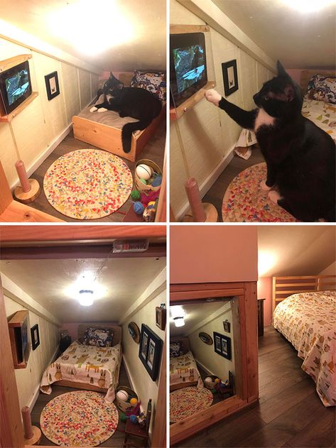 Katt Grejer, Chat Diy, Spoiled Cats, Cat Bedroom, Cat Patio, Cat House Diy, Animal Room, Cat Room, Small Room