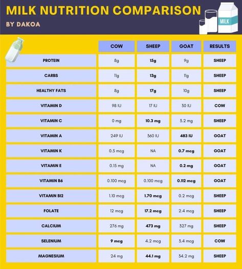 Let's compare the health and nutritional benefits found in milk from cows, sheep, and goats. Spoiler Alert: Sheep came in first place with goats a close second. Cows came in last place. Raising Sheep, Milk Nutrition, Healthy Milk, Cow Milk, Vitamin B6, Vitamin K, Milk Cow, Vitamin B12, Spoiler Alert