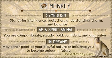 Monkey Symbolism Spirit Animal Dream Monkey Spirit Animal Meaning, Animals Symbolism, Moose Spiritual Meaning, Animals And Their Symbolism, Monkey Symbolism, Animals Spiritual Meanings, Animal Totem Spirit Guides, Spirit Animal Meaning, Animal Meanings