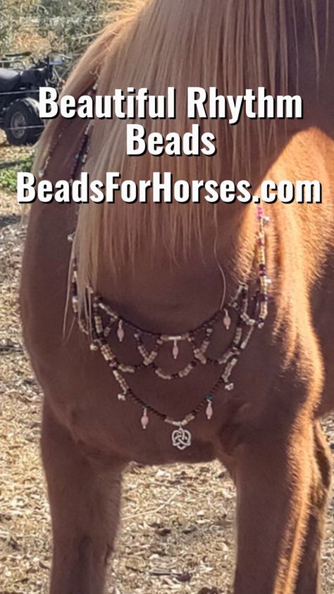 Beads For Horses - Rhythm Beads That Help Sooth and Relax Both Horse and Rider. Buying Gifts, Horses, Unique Items Products, Beads