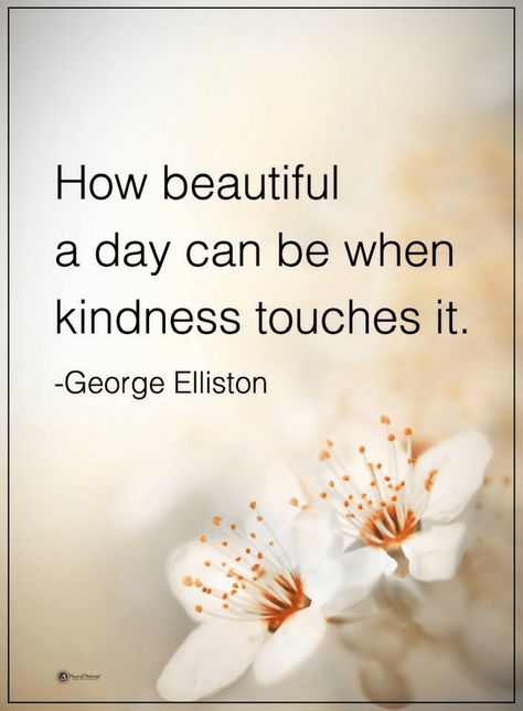 Quotes How beautiful a day can be when kindness touches it. How To Believe, Kindness Quotes, Day Quotes, Uplifting Quotes, Random Acts Of Kindness, A Quote, Wise Quotes, Morning Quotes, Beautiful Quotes