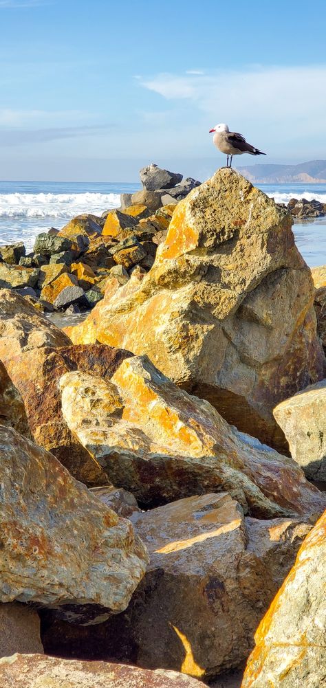 Mermaid Environment, Rocky Beach Aesthetic, Tubbo Aesthetic, Rocky Sea Shore, Dsmp Aesthetic, Rocky Background, Shore Aesthetic, 3d Beach Art, Watercolour Reference