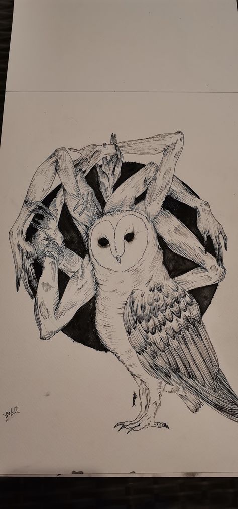 Owl And Skull Drawing, Owl Aesthetic Drawing, Owl Pen Drawing, Barn Owl Tattoo Design, Owl Drawing Sketches, Owl Drawing Simple, Barn Owl Drawing, Barn Owl Tattoo, Owl Drawings