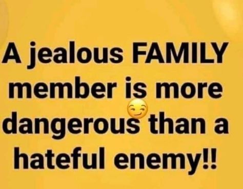 Family Quotes Truths, Toxic Family Quotes, Toxic Family, Flying Monkeys, Inspirational Quotes God, Quotes Inspiring, Karma Quotes, Feb 7, Advice Quotes