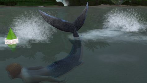 Sims 4 Cc Shark Tail, Sims 4 Shark Cc, Sims 4 Mermaid Tail, Sims Mermaid, Shark Mermaid, Shark Tail, Mermaid Pose, Shark Head, Shark Hat