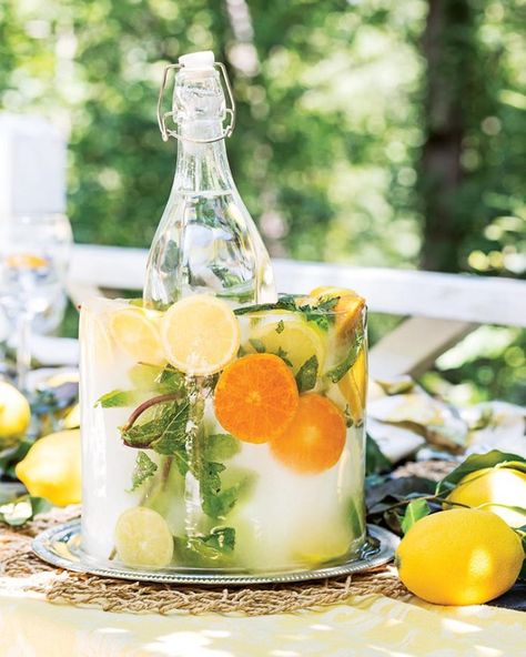 Citrus Dinner Party, Diy Ice Bucket, Floral Ice Bucket, Beverage Stations, Citrus Party, Greek Theme, Southern Gardens, Drink Stations, Citrus Slices