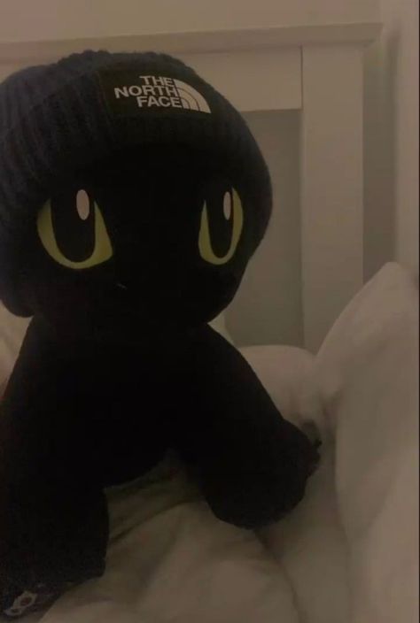 Stuffed Animals Aesthetic, Gif Pixel, Toothless Httyd, Animals Aesthetic, Cat Png, Cute Stuffed Animals, Toothless, Train Your Dragon, Httyd