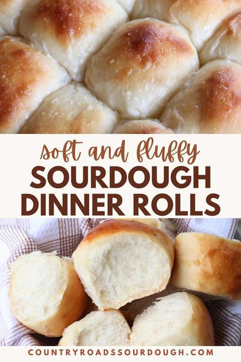 These same-day sourdough dinner rolls are a game-changer for holiday baking! Naturally leavened with sourdough starter and requiring no yeast, these soft, fluffy rolls are perfect for Thanksgiving, Christmas, or any festive meal. Easy to make in one day with a forgiving timeline, they’re ideal for beginners and impress with their buttery flavor and light texture. Make ahead for family gatherings and add a homemade touch to any holiday table! Sourdough Rolls From Starter No Yeast, Overnight Sourdough Rolls, Overnight Sourdough Dinner Rolls, Overproofed Sourdough, Overnight Sourdough Recipes, Sourdough Overnight, Sourdough Dinner, Sourdough Dinner Rolls, Recipe Using Sourdough Starter