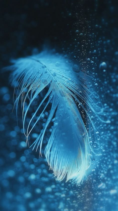 Blue Feather, Blue Dream, Foto Art, Feeling Blue, Love Blue, Something Blue, الرسومات اللطيفة, Blue Aesthetic, Macro Photography