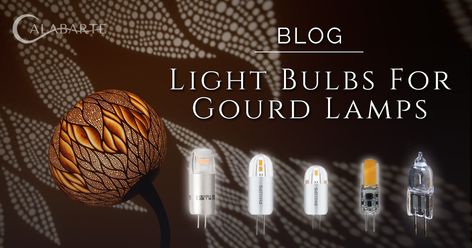 Gourd Lamps, Gourd Ideas, Filament Bulb Lighting, Lighting Art, Gourd Lamp, Gourds Crafts, Drilling Holes, Gourd Art, Light Beam