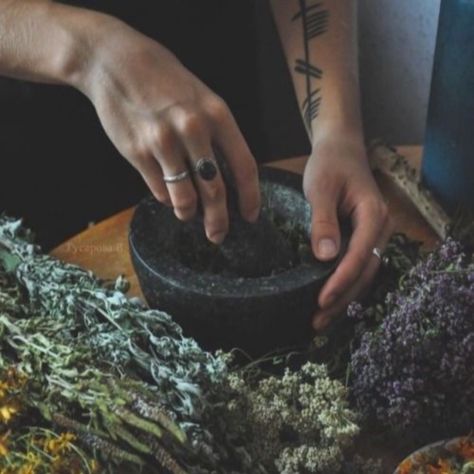 I going lavender and dried roses, this way I can put bags of it in my closet, it soothes me and it smells good. 🌸💜🌹 Tell me in comments what's your favorite herbal blend ? 😍 . . . #herbal #witchcraft #witchy #witchery #witch #witches #witchaesthetic #witching #witchytips #greenwitchcraft #witchtips #witchspells #witchlifestyle #modernwitch #lavender #witchesofinstagram Herbs Witch, Mikaelson Aesthetic, Freya Mikaelson, The Mikaelsons, Green Witchcraft, W.i.t.c.h Aesthetic, Magic Witch, Modern Witch, Hearth And Home