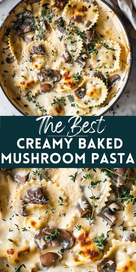 Try this easy mushroom pasta bake for a quick and easy weeknight dinner. This creamy mushroom pasta bake is perfect for vegetarian pasta bake lovers. It's one of the best easy weeknight dinners and easy family dinner ideas! Baked Mushroom Pasta, One Pot Pasta Mushroom, Mushroom Pasta Recipes Creamy, Pasta Bake No Cheese, Mushroom Cheese Pasta, Stuffed Shells Mushroom, Mushrooms And Pasta Recipes, Creamy Baked Pasta Recipes, Pasta With Mushrooms Recipes