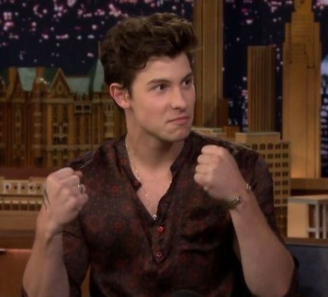 Shane Mendes, Shawn Mendes Funny, Shawn Mendes Memes, Meme Faces, Shawn Mendes, A Boy, Girls Out, Reaction Pictures, The One