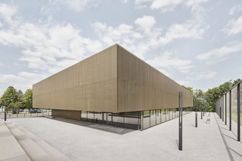 Sports Hall in den Breitwiesen | THOMA. LAY. BUCHLER. Architekten   #Fast+Epp #Gerlingen #Germany #Gymnasium #outdoorsports #SimonSommer #skylights #Sportingevents #Steel #THOMA #THOMA.LAY #THOMA.LAY.BUCHLER.Architekten Sport Hall Architecture, Sports Hall Architecture, Sports Architecture, Glass Entrance Doors, Loft Penthouse, Gymnastics Room, Hall Ideas, Eco Buildings, Sports Hall