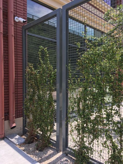 Minimalist Gates: Complete your contemporary fence design with a minimalist gate that complements the overall aesthetic. Choose a simple yet stylish gate design made from the same materials as your fence for a cohesive look.

#Tags: #ContemporaryDesign #FenceIdeas #ModernLiving #OutdoorDecor #UrbanGarden #PrivacyScreen #MetalFencing #SustainableLiving #VerticalGarden #LEDLighting Contemporary Fence Design, Minimalist Gate, Contemporary Fence, Living Fences, Commercial Fence, Ideas For Projects, Fence Design Ideas, Fence And Gate, Yard Remodel