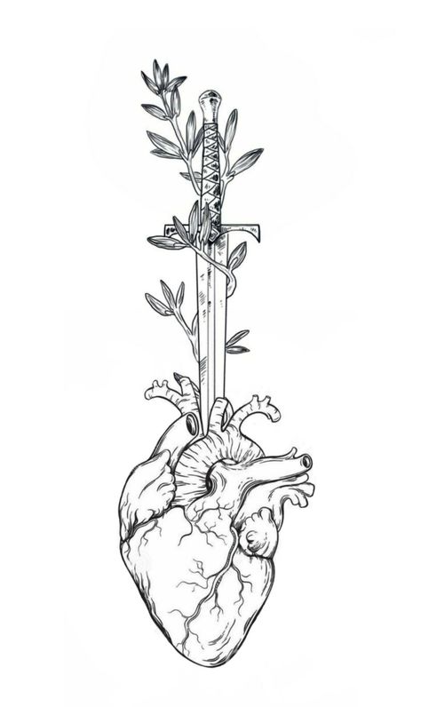 Heart Dagger Tattoo, Anatomical Heart Drawing, Anatomical Tattoos, Heart Organ, Anatomy Tattoo, Skull Girl Tattoo, Anatomical Heart Tattoo, Dagger Tattoo, Meaningful Drawings