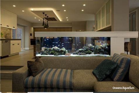 Aquarium Wall, Wall Dividers, Wall Aquarium, Custom Aquarium, Amazing Aquariums, Fish Tank Design, Aquarium Terrarium, Home Aquarium, Aquarium Design