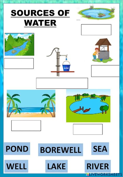 Sources Of Water Worksheet, Water Worksheet For Grade 1, Sources Of Water For Kids Worksheet, Sources Of Water For Kids Chart, Sources Of Water, Water Activities Preschool, Worksheet For Class 2, Worksheets For Class 1, World Water