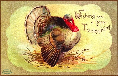 Vintage Thanksgiving Greeting Cards, Vintage Thanksgiving Greetings, Vintage Thanksgiving Cards, Turkey Images, Happy Thanksgiving Turkey, Thanksgiving Blessings, Thanksgiving Images, Thanksgiving Art, Thanksgiving Wallpaper