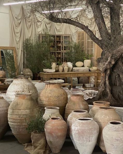 Italian Vases Pottery, Olive Pot, Antique Vessels, Primitive Coffee Table, Pottery Antique, Reclaimed Decor, Vintage Pots, Potted Olive Tree, Wood Stools