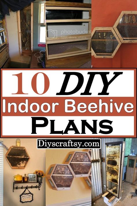 DIY Beehive Plans For Indoor Decorations Observation Bee Hive Diy, Diy Bee Hive How To Build, Indoor Beehive, Beehive Plans, Diy Bee Hive, Diy Beehive, Bee Hive Stand, Honey Bee Farming, Hive Stand