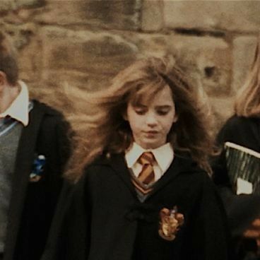 Harry And Hermione Aesthetic, Pfp Harry Potter, Harry Pptter, Couples Icons Aesthetic, Harry Potter Couples, Harry Porter, Harry And Hermione, Match Profile, Duos Icons