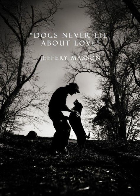 Dogs never lie about love....perfect quote for above dog bed,toys or - http://goo.gl/lfTEoD Dogs Quotes, Never Lie, Dog Quotes Love, Photo Facebook, Wallpaper Laptop, Airedale Terrier, Quotes Love, Animal Quotes, Dog Quotes