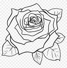 Rose Outline Drawing, Drawing Of A Rose, Rose Line Art, Vine Drawing, Rose Outline, Basket Drawing, Drawing Stars, About Rose, Tattoo Outline Drawing