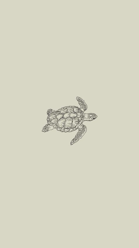 Simple Beachy Wallpaper, Ocean Wallpaper Drawing, Simple Ocean Wallpaper, Summer Wallpaper Simple, Apple Watch Wallpaper Summer, Cute Wallpapers Simple, Aesthetic Shark Wallpaper, Cute Turtle Wallpaper, Summer Homescreen Wallpaper