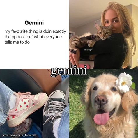 part 1 | what’s your zodiac sign?🤍 tag someone who should see this 🫶🏼 follow @astroganeshji_fremont for more🪐 Gemini Vibes Aesthetic, Gemini Girl Aesthetic, Gemini Core Aesthetic, Gemini Core, Gemini Vibes, Gemini Aesthetic, Gemini Stuff, Courageous Woman, Gemini People