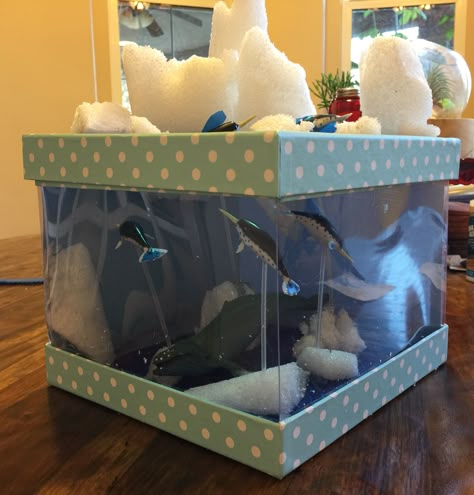 Narwhal Arctic diorama! Narwhal Habitat Project, Attic Tundra Biome, Narwhal School Project, Arctic Ecosystem Project, Tundra Biome Project Dioramas, Arctic Habitat Diorama, Artic Diorama For Kids, Antarctica Diorama, Arctic Habitat Project For Kids