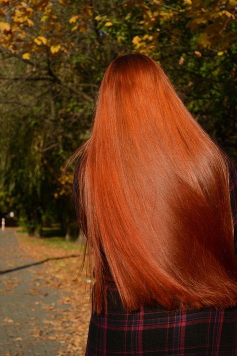 Pinterest: @viviimoreira 🌹 Red Hair Inspiration, Ginger Hair Color, Beautiful Red Hair, Solange Knowles, Long Red Hair, Hair Color Ideas For Brunettes, Super Long Hair, Auburn Hair, Beautiful Long Hair