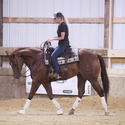 Reining Horse Drawing, Quarter Horse Aesthetic, Reigning Horses, Horse Lifestyle, Chestnut Horses, Ranch Horses, Ranch Riding, Horse Reining, Horse Rearing