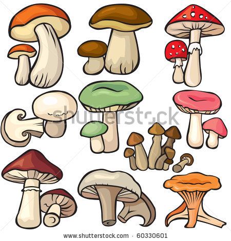 Mushroom Clipart, Forest Mushrooms, Easy Drawing Steps, Mushroom Drawing, Mushroom Forest, Mushroom Art, Art Tutorials Drawing, Kawaii Drawings, Step By Step Drawing