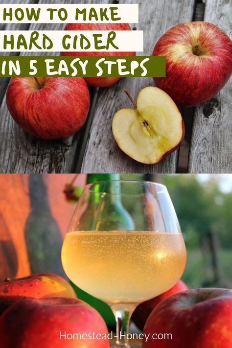 Cider Making Process, How To Make Hard Cider, Cider Recipes, Hard Apple Cider Recipe, Hard Cider Recipe, Making Hard Cider, Fermented Foods Benefits, Wine Press, Hard Apple Cider