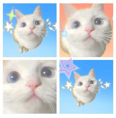 Wow Art, Silly Cats, Phone Themes, Pretty Cats, Coraline, 귀여운 동물, Cute Icons, Cat Memes, Submarine