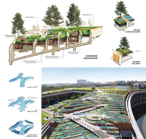 A terraced landscape on an unused rooftop draws inspiration from traditional rice terraces. Agricultural Landscape Design, Terracing Landscape, Urban Farm Architecture, Terraced Farming, Terrace Landscape Design, Terraced Landscape, Urban Rooftop, Urban Farms, Terraced Landscaping