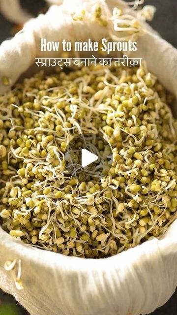 Malvika Hada Kumar | Recipe Developer on Instagram: "A lot of you asked me how I make sprouts at home, so here is the video where I show you step by step to make those perfect sprouts.🌿😍

If you guys have any doubt, leave a comment and i will answer your queries. 😀

How to make SPROUTS 🍃🌿 at home -

* Rinse and soak whole moong for about 6-8 hours. 
* Once done, drain the water and place it on the top of a muslin or cotton cloth.
* Tie the knot and sprinkle a little water at the bottom. 
* Place it in a strainer, Cover with a plate and put it at a dark place.
* Put a bowl under so that extra moisture can drip into it and sprouts can grow from down.
* Sprinkle water whenever you feel the cloth is dry. (On the 2nd day)
* And the 3rd day, you will have these perfect sprouts ready.
* If y How To Make Sprouts At Home, How To Make Sprouts, Recipe Developer, The Cloth, Tie The Knot, Kitchen Tips, Kitchen Hacks, A Bowl, The Knot