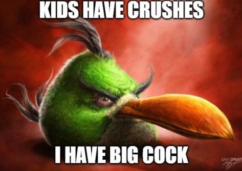 Realistic Angry Birds, Angry Birds Funny, Bird Meme, Angry Bird, Me Too Meme, Silly Pictures, Angry Birds, Internet Funny, Really Funny Pictures