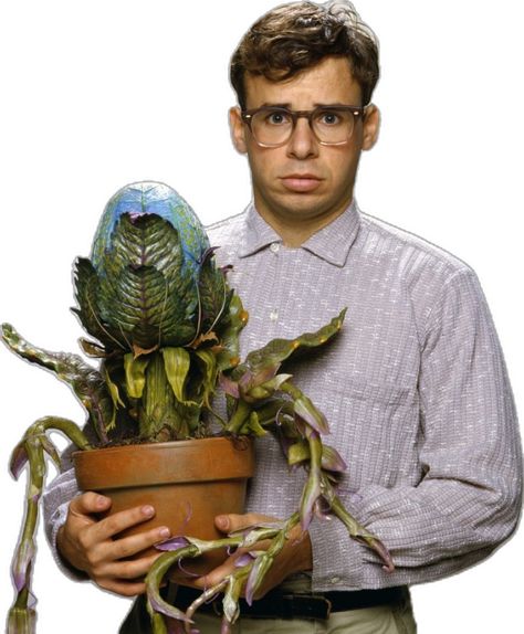 Lil Shop Of Horrors, Little Shop Of Horrors Costume, Suddenly Seymour, Rick Moranis, Audrey Ii, Michael Cera, Rick Y Morty, Little Shop Of Horrors, Famous Monsters