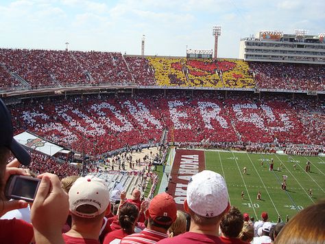 . Ou Softball, Football Humor, Sooner Football, Oklahoma University, Oklahoma Sooners Football, Pinup Photoshoot, Norman Oklahoma, Oklahoma Football, Ou Football