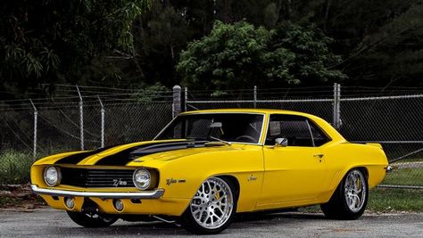 Camaro Wallpaper, Chevrolet Camaro Ss 1969, Chevrolet Camaro Bumblebee, Camaro Ss 1969, Yellow Camaro, Vintage Camaro, Black Camaro, Chevrolet Camaro 1969, Classic Camaro