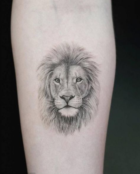 Lion Portrait Tattoo, Tattoo Portrait, Lion Portrait, Inner Arm Tattoo, Inner Forearm, Lion Tattoo, Tattoo On, Arm Tattoo, Portrait Tattoo