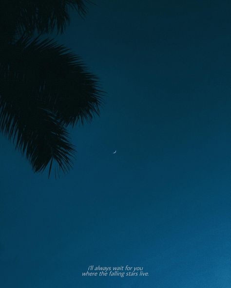 once in a blue moon. Blue Moon Aesthetic, Once In A Blue Moon, Moon Aesthetic, Falling Stars, April 19, Blue Moon, Moon, On Instagram, Blue