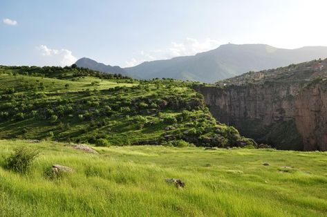 Grassy Hills of Rwanduz Grassy Hill, Grassy Field, Scenery Pictures, Art Journal Therapy, Fantasy Places, Wings Of Fire, Landscape Illustration, Environment Concept Art, Drawing Challenge