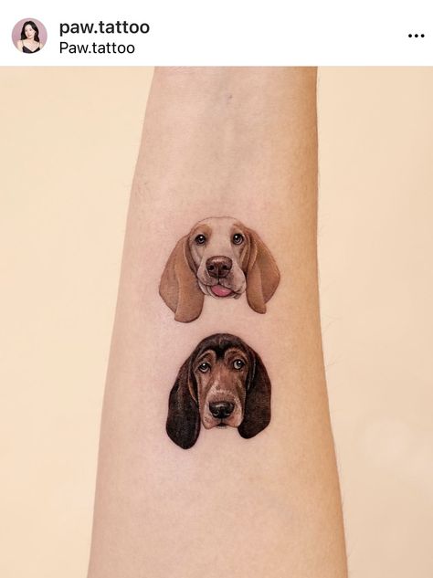 Memorial Pet Tattoos, Tattoo Perro, Tattoo Single Needle, Beagle Tattoo, Dog Portrait Tattoo, Pet Tattoos, Paw Tattoo, Portfolio Book, Dog Tattoo